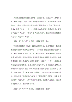 支部第二批主题教育发言稿讲话材料精选资料.docx