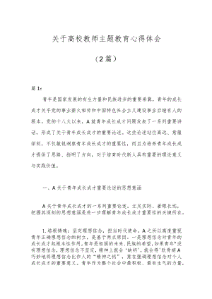 （2篇）关于高校教师主题教育心得体会.docx