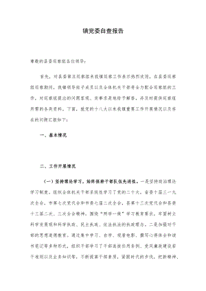 镇党委自查报告 .docx