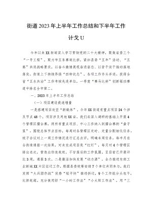 街道2023年上半年工作总结和下半年工作计划（20230913）.docx