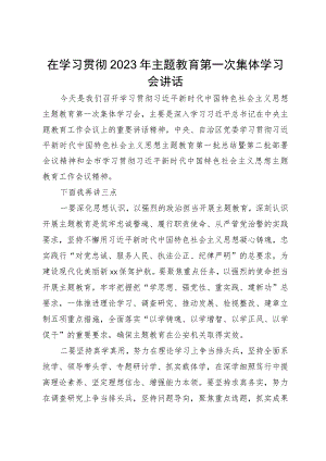 在学习贯彻2023年主题教育第一次集体学习会讲话.docx