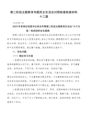 第二阶段主题教育专题民主生活会对照检查检查材料十二篇.docx