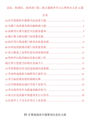 法院、检察院、政府部门第二批主题教育学习心得体会文章16篇.docx
