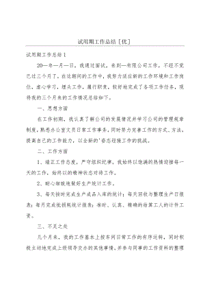 试用期工作总结[优].docx
