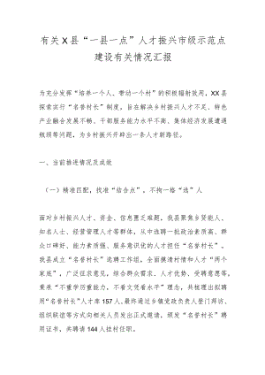 有关X县“一县一点”人才振兴市级示范点建设有关情况汇报.docx
