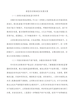 新型农村集体经济发展对策.docx