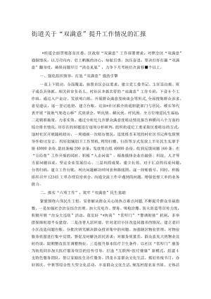 街道关于“双满意”提升工作情况的汇报.docx