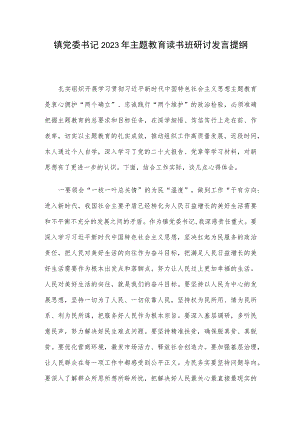 镇党委书记2023年主题教育读书班研讨发言提纲.docx