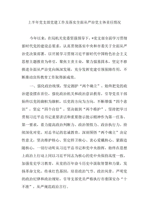 上半年党支部党建工作及落实全面从严治党主体责任情况.docx