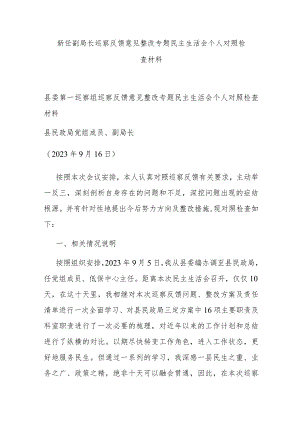 新任副局长巡察反馈意见整改专题民主生活会个人对照检查材料 .docx