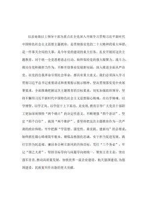 第二批主题教育发言稿讲话稿可修改资料.docx