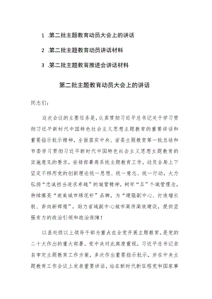 第二批主题教育动员大会上的讲话发言范文3篇.docx