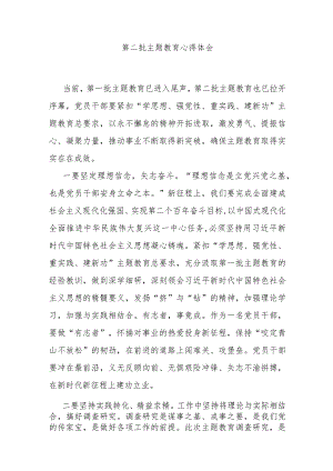 第二批主题教育心得体会.docx