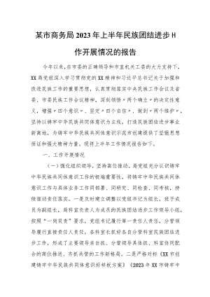 某市商务局2023年上半年民族团结进步工作开展情况的报告.docx