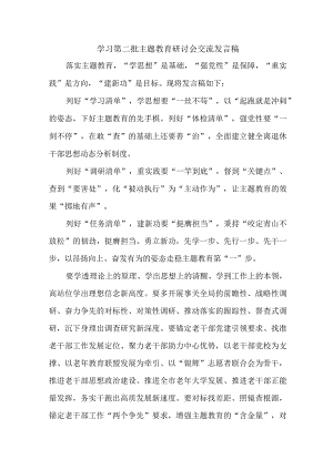 高校开展第二批主题教育研讨会交流发言稿（合计5份）.docx