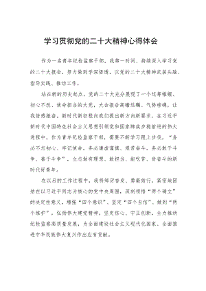 青年纪检干部学习贯彻党的二十大精神心得体会六篇.docx