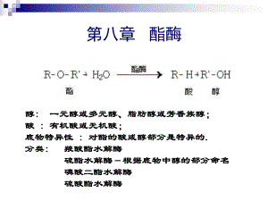 食品酶学酯酶和过氧化物酶89.ppt