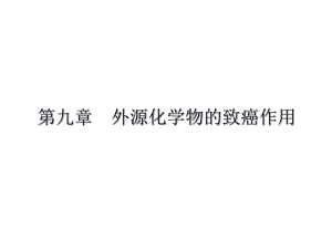 食品毒理学spdl0910.ppt