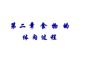 食物的体内过程.ppt