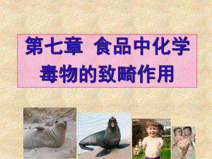 食品毒理学第七章.ppt