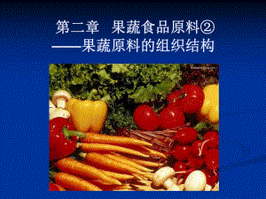 食品原料学6果蔬组织结构.ppt