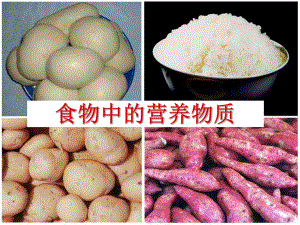 食物中的营养物质人教版.ppt