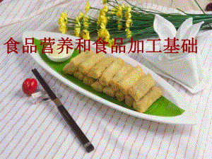 食品营养和食品加工基础.ppt