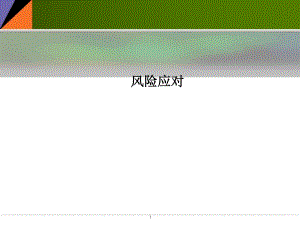 风险应对.ppt
