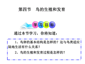 鸟类的生殖和发育.ppt