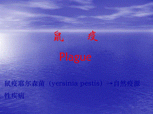 鼠疫耶尔森菌yersinia.ppt