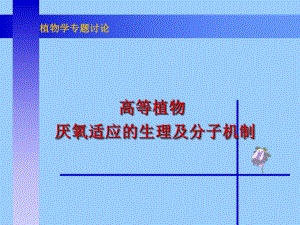 高等植物厌氧适应的生理及分子机制.ppt
