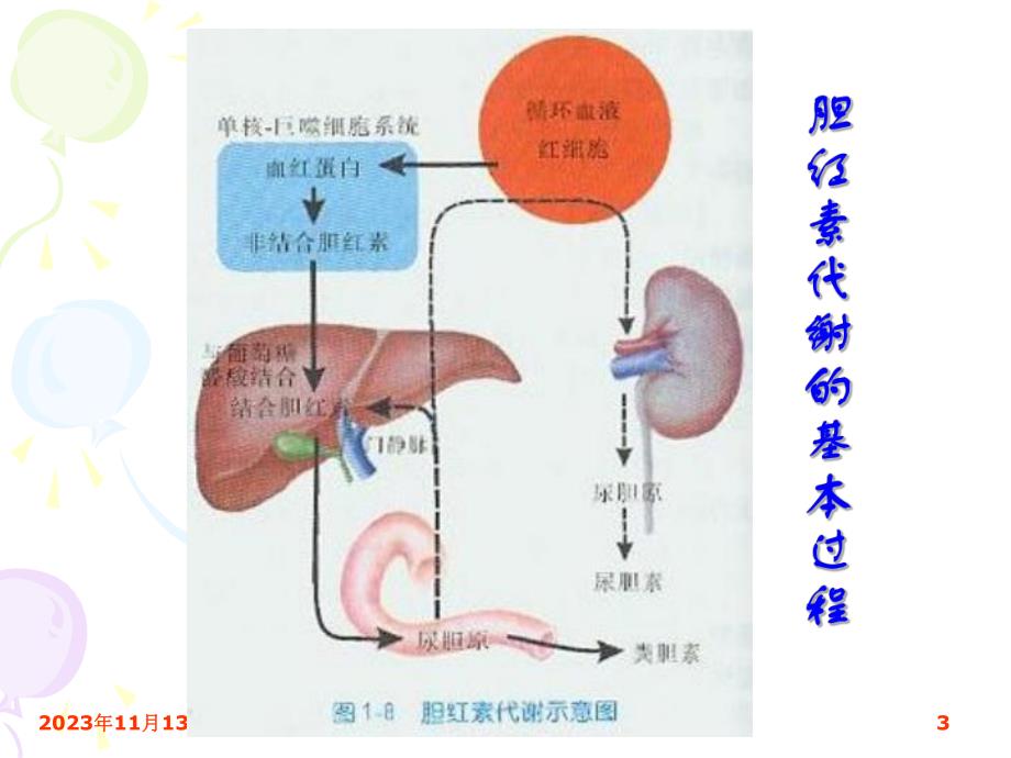 黄疸的鉴别诊断.ppt_第3页