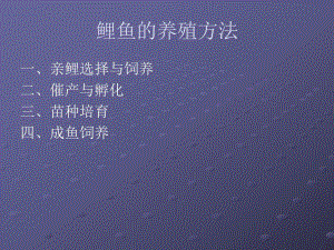 鲤鱼的养殖方法.ppt
