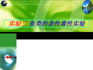 鱼类的急性毒性实验.ppt