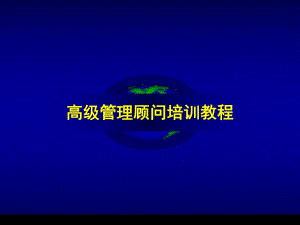 高级管理咨询顾问培训教程.ppt