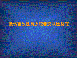 黄原胶世纪中星中石油汇报.ppt