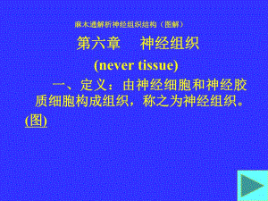 麻木通解析神经组织结构图解.ppt