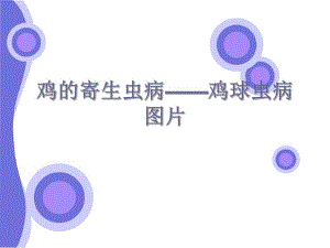 鸡的寄生虫病.ppt