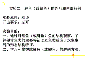 鲤鱼或鲫鱼的外形和内部解剖.ppt