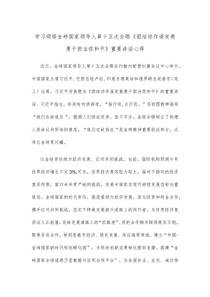 学习领悟金砖国家领导人第十五次会晤《团结协作谋发展 勇于担当促和平》重要讲话心得.docx