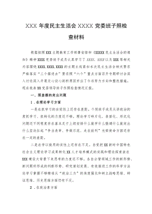 XXX年度民主生活会XXXX党委班子照检查材料.docx