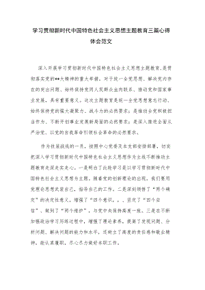 学习贯彻新时代中国特色社会主义思想主题教育三篇心得体会范文.docx