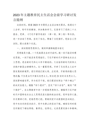 2023年主题教育民主生活会会前学习研讨发言提纲.docx