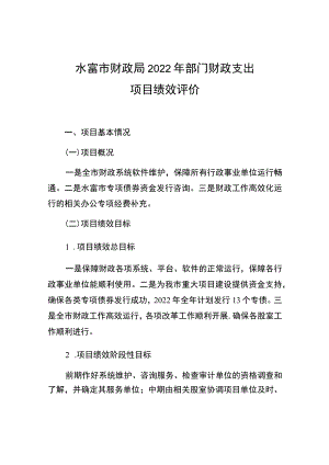 水富市财政局2022年部门财政支出项目绩效评价.docx
