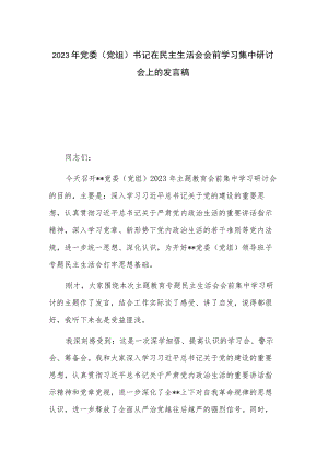 2023年党委（党组）书记在民主生活会会前学习集中研讨会上的发言稿.docx
