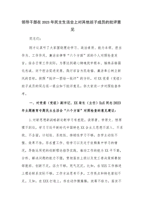 领导干部在2023年民主生活会上对其他班子成员的批评意见.docx