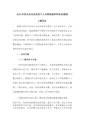 2023年民主生活会党员个人对照检查材料发言提纲.docx