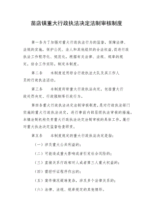 苗店镇重大行政执法决定法制审核制度.docx