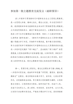 参加第一批主题教育交流发言（副职领导）.docx