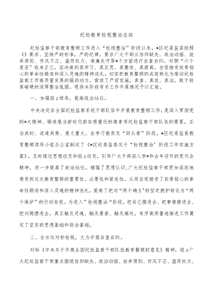 纪检教育检视整治总结.docx